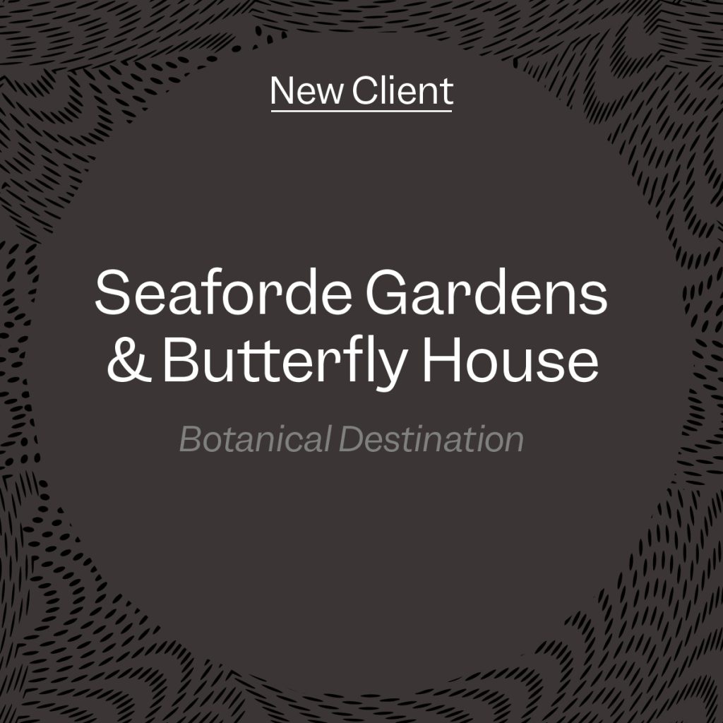 New Brand & Web Design Client: Seaforde Tropical Gardens & Butterfly House